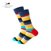 LionZone Mens Happy Socks